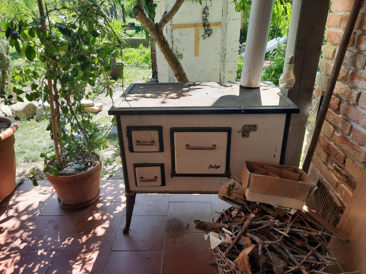 Patak Apartman, Diszel تابولتْسا المظهر الخارجي الصورة