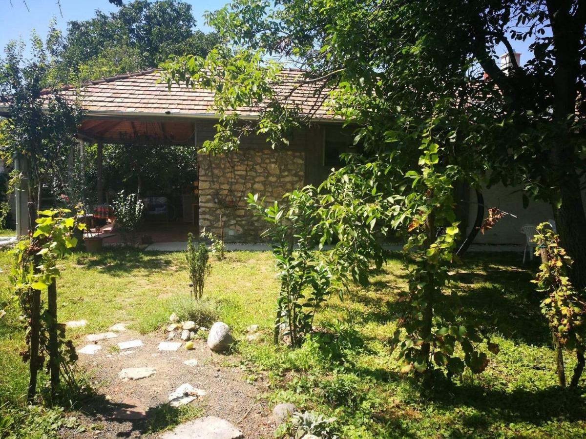 Patak Apartman, Diszel تابولتْسا المظهر الخارجي الصورة