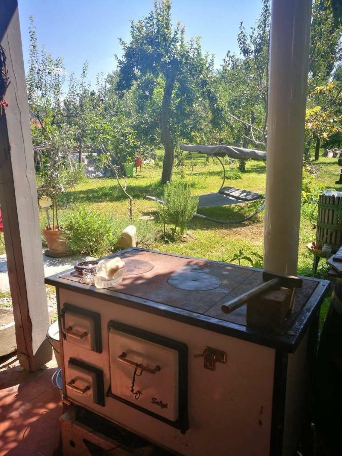 Patak Apartman, Diszel تابولتْسا المظهر الخارجي الصورة